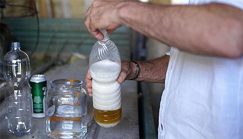 Eine der attraktivsten Fallen für Wespen und Hornissen ist diejenige, bei der Bier als Köder verwendet wird. Eine der attraktivsten Fallen für Wespen und Hornissen ist diejenige, bei der Bier als Köder verwendet wird.