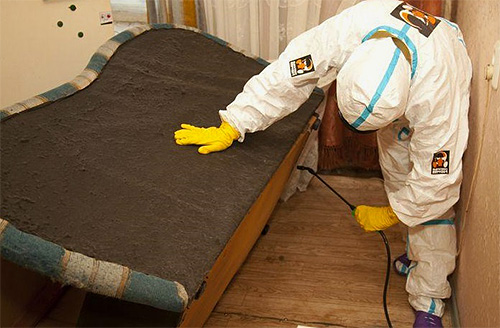 Schädlingsbekämpfer verwenden bei der Arbeit in der Regel Konzentrate zum Verdünnen und Versprühen als Spray. Schädlingsbekämpfer verwenden bei der Arbeit in der Regel Konzentrate zum Verdünnen und Versprühen als Spray.