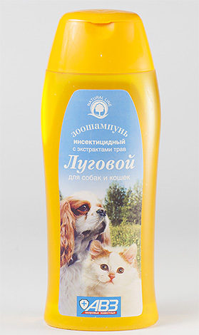 Ein Flohshampoo sollte am besten bei einer geringen Anzahl von Parasiten auf dem Körper des Tieres angewendet werden. Ein Flohshampoo sollte am besten bei einer geringen Anzahl von Parasiten auf dem Körper des Tieres angewendet werden.