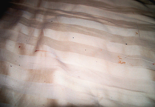 Am Morgen im Bett entdeckte rote Punkte können auf das Vorhandensein von Bettwanzen im Haus hinweisen... Am Morgen im Bett entdeckte rote Punkte können auf das Vorhandensein von Bettwanzen im Haus hinweisen.