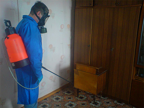 Wenn Sie die Ameisen im Haus nicht selbst loswerden konnten, sollten Sie die Hilfe professioneller Schädlingsbekämpfer in Anspruch nehmen. Wenn Sie die Ameisen im Haus nicht selbst loswerden konnten, sollten Sie die Hilfe professioneller Schädlingsbekämpfer in Anspruch nehmen.