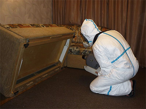 Vor der Ankunft der Fachleute des Schädlingsbekämpfungsdienstes ist es wünschenswert, die Wohnung im Voraus für die Behandlung vorzubereiten. Vor der Ankunft der Fachleute des Schädlingsbekämpfungsdienstes ist es wünschenswert, die Wohnung im Voraus für die Behandlung vorzubereiten.