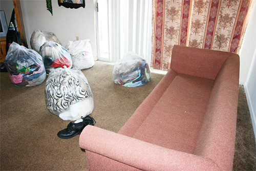 Vor der Ankunft des Schädlingsbekämpfungsdienstes muss die Wohnung für die Behandlung vorbereitet werden... Vor der Ankunft des Schädlingsbekämpfungsdienstes muss die Wohnung für die Behandlung vorbereitet werden...