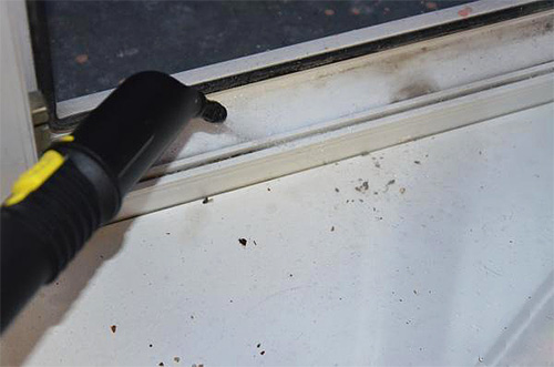 Beispiel für den Einsatz eines Dampfreinigers gegen Wanzen. Beispiel für den Einsatz eines Dampfreinigers gegen Wanzen.