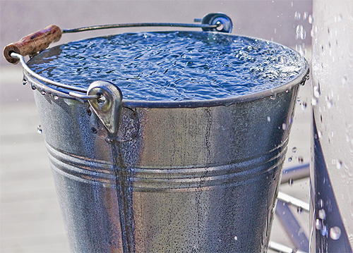 Eines der zugänglichsten Mittel zur Beseitigung von Hornissen ist Wasser, in dessen Eimer man das Nest einfach ertränken kann. Eines der zugänglichsten Mittel zur Vernichtung von Hornissen ist Wasser, in einem Eimer, mit dem man einfach das Nest ertränken kann.