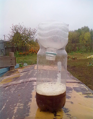 Wenn der Köder in der Falle falsch zubereitet ist, werden die Insekten einfach nicht zur Flasche kommen. Wenn der Köder in der Falle falsch zubereitet ist, werden die Insekten einfach nicht zur Flasche kommen.