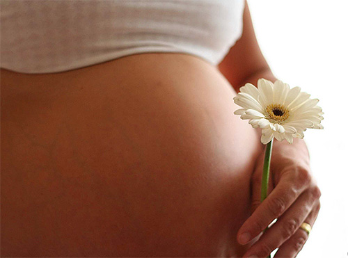 Wespengift dringt selbst bei einem Stich in den Bauch nicht durch die Plazenta, daher ist eine direkte Einwirkung der Toxine auf den Fötus ausgeschlossen. Wespengift dringt selbst bei einem Stich in den Bauch nicht durch die Plazenta, daher ist eine direkte Einwirkung der Toxine auf den Fötus ausgeschlossen.