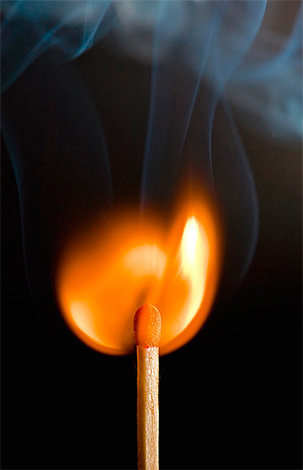Ein Wespennest kann mit Feuer beseitigt werden, aber diese Methode ist recht brandgefährlich. Ein Wespennest kann mit Feuer beseitigt werden, aber diese Methode ist recht brandgefährlich.