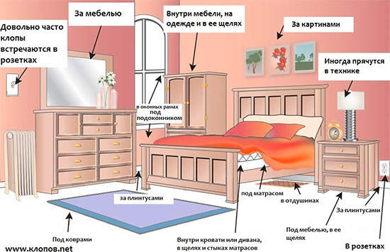 Das Bild zeigt die Orte, an denen sich Bettwanzen in der Wohnung am häufigsten verstecken. Das Bild zeigt die Orte, an denen sich Bettwanzen in der Wohnung am häufigsten verstecken.