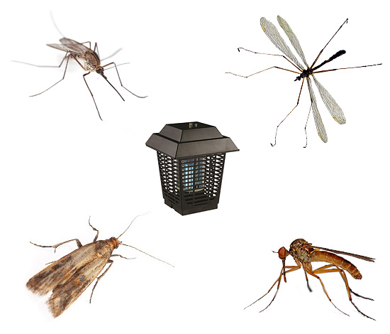Wir wählen das optimale Modell eines Insektenvernichters, sowohl für draußen als auch im Haus...