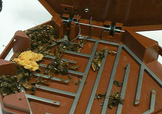 Elektrische Hausfallen hingegen eignen sich zur Vernichtung kriechender Insekten (Kakerlaken, Ameisen, Asseln und andere).