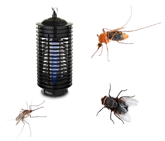 Heute erfreuen sich UV-Insektenlampen (auch als Vernichter bezeichnet) zunehmender Beliebtheit – aber sind sie wirklich so effektiv, wie Verbraucher berichten? Lassen Sie uns das genauer betrachten... Heute erfreuen sich UV-Insektenlampen (auch als Vernichter bezeichnet) zunehmender Beliebtheit – aber sind sie wirklich so effektiv, wie Verbraucher berichten? Lassen Sie uns das genauer betrachten...