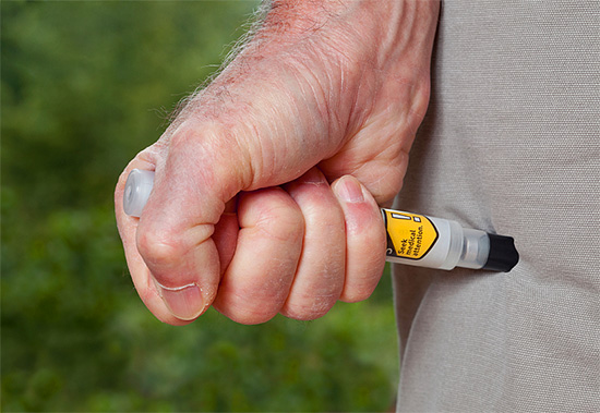 Allergiker mit hoher Empfindlichkeit gegenüber Insektenstichen sollten stets einen Adrenalin-Autoinjektor (Epinephrin) bei sich tragen.