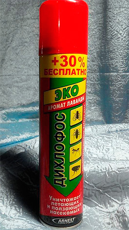 Aerosol-Insektizid gegen fliegende und kriechende Insekten Dichlorvos Eco.
