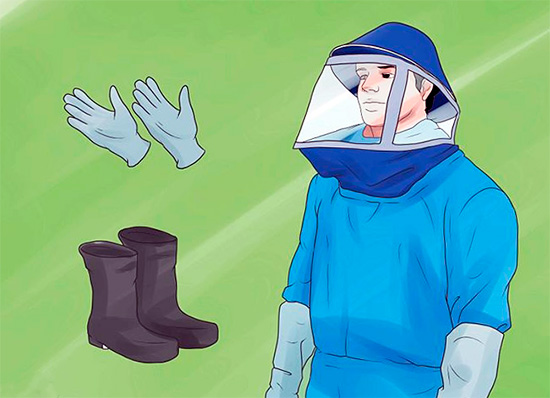 Aus Sicherheitsgründen sollten Sie bei der Wespenbekämpfung dichte Kleidung, Handschuhe und eine Imkermaske tragen.