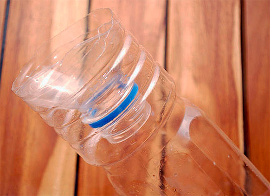 Der abgeschnittene obere Teil der Flasche wird mit dem Hals nach unten in den unteren Teil eingesetzt.