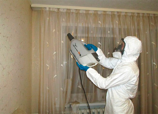 Der Einsatz professioneller Schädlingsbekämpfer kann der effektivste Weg sein, Wanzen in der Wohnung ein für alle Mal loszuwerden. Der Einsatz professioneller Schädlingsbekämpfer kann der effektivste Weg sein, Wanzen in der Wohnung ein für alle Mal loszuwerden.