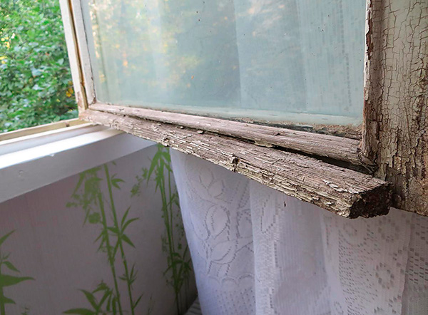 Bettwanzen können über die Außenwand des Gebäudes durch Ritzen in alten Fenstern in die Wohnung eindringen. Bettwanzen können über die Außenwand des Gebäudes durch Ritzen in alten Fenstern in die Wohnung eindringen.