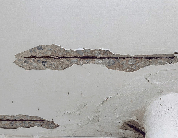 Auch Risse in der Decke, in den Wänden oder im Boden können ein Weg sein, über den die Schädlinge in die Wohnräume gelangen. Auch Risse in der Decke, in den Wänden oder im Boden können ein Weg sein, über den die Schädlinge in die Wohnräume gelangen.