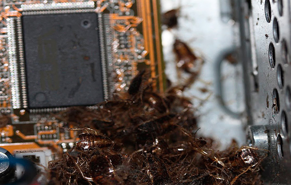 Das Aerosol sollte nicht in die Öffnungen elektronischer Geräte gesprüht werden. Das Aerosol sollte nicht in die Öffnungen elektronischer Geräte gesprüht werden.