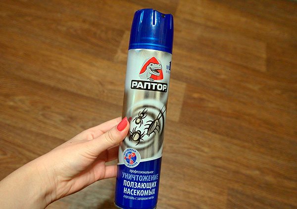 Mit Aerosolpräparaten gelingt es am schnellsten, Kakerlaken aus der Wohnung zu vertreiben. Mit Aerosolpräparaten gelingt es am schnellsten, Kakerlaken aus der Wohnung zu vertreiben.