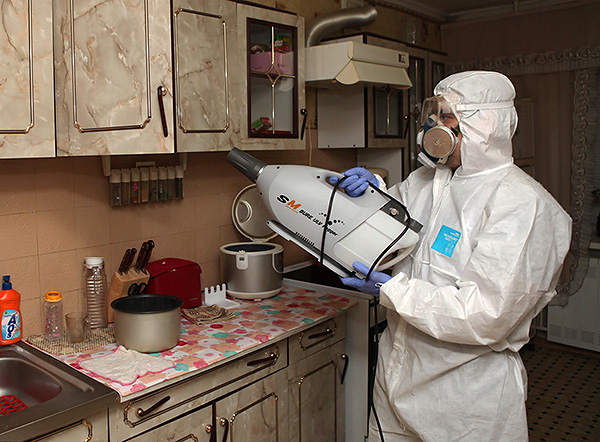 Das Foto zeigt ein Beispiel für die Behandlung einer Küche gegen Kakerlaken mit einem Kaltnebel-Generator. Das Foto zeigt ein Beispiel für die Behandlung einer Küche gegen Kakerlaken mit einem Kaltnebel-Generator.