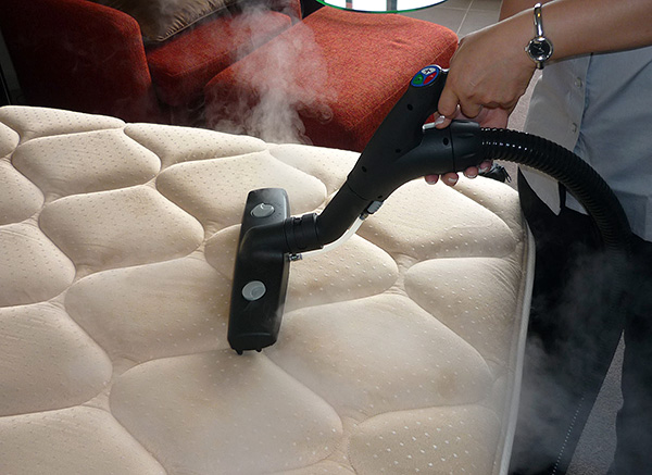 Die Behandlung der Matratze mit einem Dampfreiniger ermöglicht es, einen Großteil der Milben und ihrer Eier darin zu vernichten. Die Behandlung der Matratze mit einem Dampfreiniger ermöglicht es, einen Großteil der Milben und ihrer Eier darin zu vernichten.