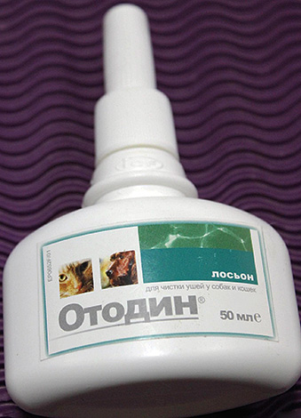 Lotion Otodin zur Ohrenreinigung bei Hunden und Katzen Lotion Otodin zur Ohrenreinigung bei Hunden und Katzen