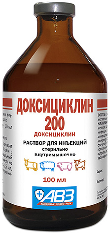 Borreliose und Ehrlichiose lassen sich relativ leicht mit Antibiotika behandeln. Borreliose und Ehrlichiose lassen sich relativ leicht mit Antibiotika behandeln