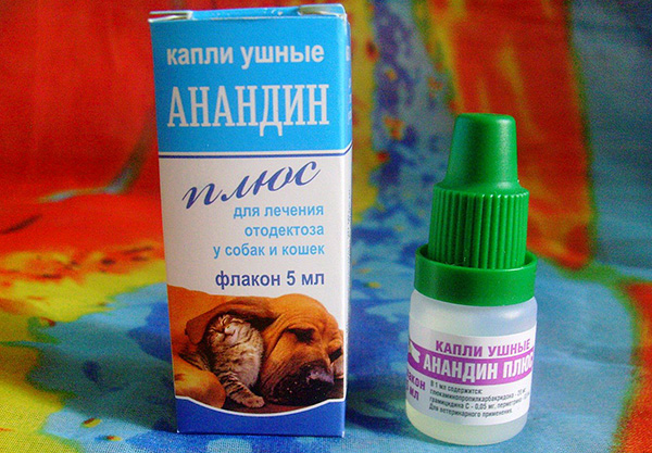 Ohrentropfen Anandin Plus Ohrentropfen Anandin Plus