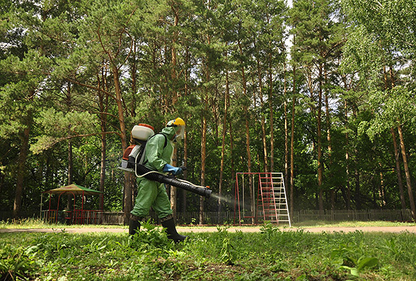 Behandlung des Parkgeländes Behandlung des Parkgeländes