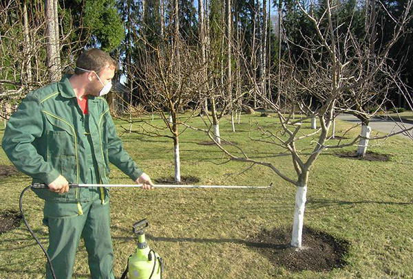 In der Regel ist die eigenständige Behandlung eines Gartengrundstücks gegen Zecken weniger effektiv als die Beauftragung von Fachleuten. In der Regel ist die eigenständige Behandlung eines Gartengrundstücks gegen Zecken weniger effektiv als die Beauftragung von Fachleuten.