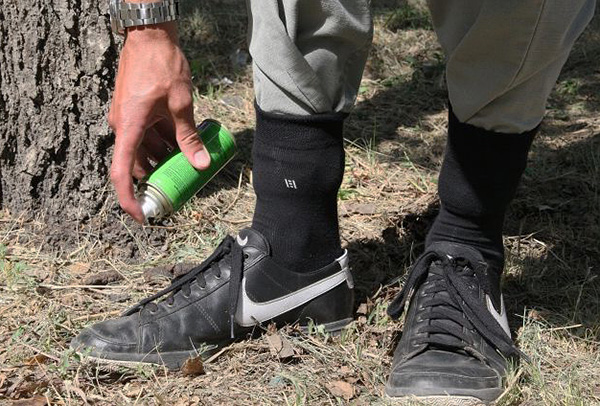 Wir klären, welches Repellent einen Menschen in der Natur am besten vor Zeckenstichen schützen kann... Wir klären, welches Repellent einen Menschen in der Natur am besten vor Zeckenstichen schützen kann...