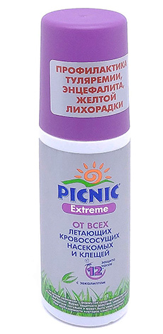 Picnic Extreme Picnic Extreme