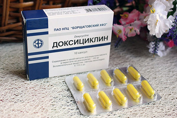 Doxycyclin bei Borreliose