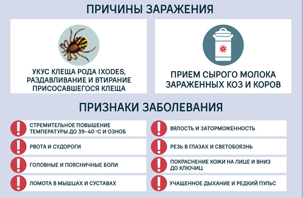Symptome einer FSME-Infektion