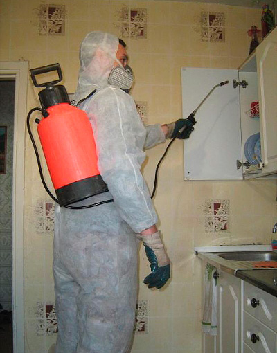 Désinsectiseur au travail