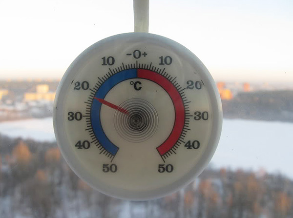 Les punaises de lit meurent à une température inférieure à moins 22 degrés Celsius. Les punaises de lit meurent à une température inférieure à moins 22 degrés Celsius.