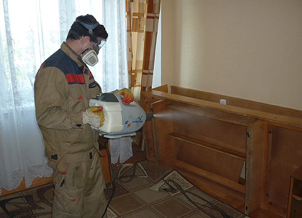 Faire appel à des désinsectiseurs est considéré comme le moyen le plus efficace et le plus rapide de se débarrasser des insectes dans la maison. Faire appel à des désinsectiseurs est considéré comme le moyen le plus efficace et le plus rapide de se débarrasser des insectes dans la maison.