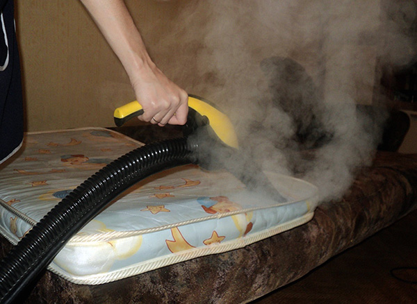 La photo montre un exemple d'élimination des punaises de lit dans un matelas pour enfant à l'aide de vapeur chaude. La photo montre un exemple d'élimination des punaises de lit dans un matelas pour enfant à l'aide de vapeur chaude.