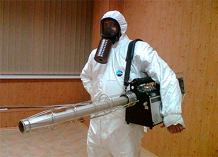 Pour une destruction efficace des punaises dans un appartement, il est utile de faire appel à des professionnels de la désinsectisation Pour une destruction efficace des punaises dans un appartement, il est utile de faire appel à des professionnels de la désinsectisation