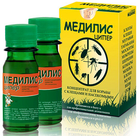 Medilis Tsiper