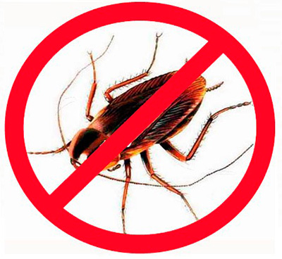 L'utilisation d'insecticides modernes est sans doute la méthode la plus efficace pour se débarrasser des cafards Utilisation d'insecticides modernes