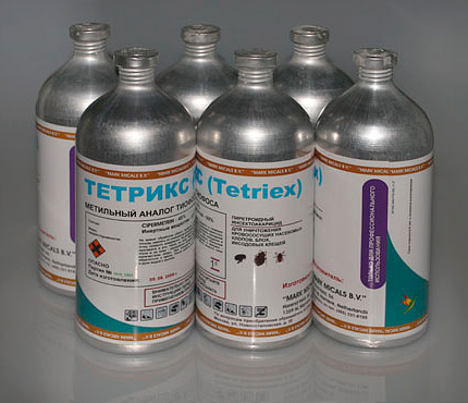 Tetrix Tetrix