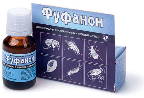 Le Fufanon peut provoquer des allergies