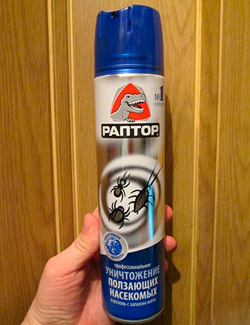 Aérosol Raptor contre les insectes rampants Aérosol Raptor contre les insectes rampants
