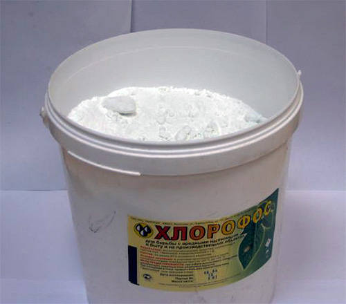 Chlorophos Chlorophos