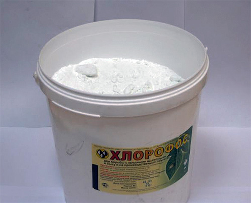 Chlorophos : poudre insecticide