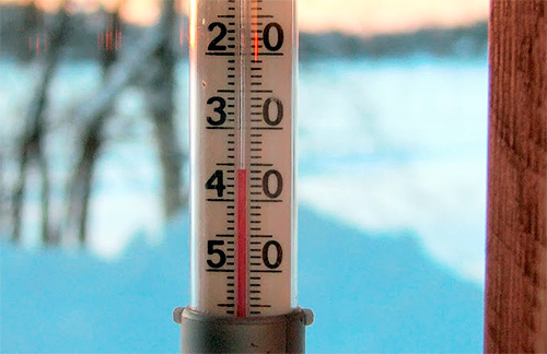 Les cafards meurent assez vite par temps de gel Les cafards meurent assez vite par temps de gel