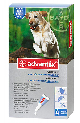 Advantagex contre les puces Advantagex contre les puces